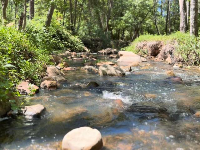 415 e rim estates trail