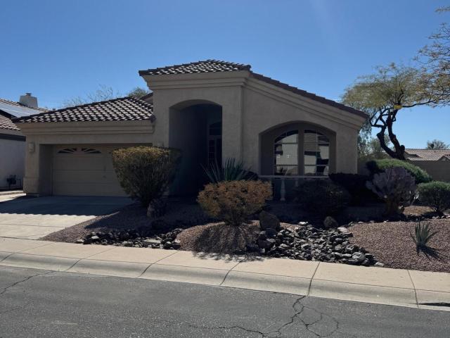 4163 e wildcat drive