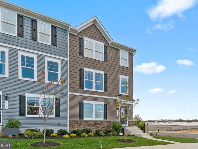 419 Anthem Street # [393]