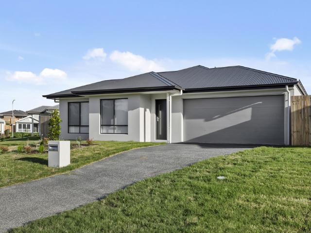 41 Tulip Tree Street, Park Ridge QLD 4125