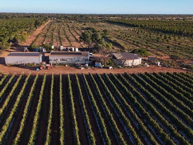 41 ACRE HORTICULTURAL OPPORTUNITY!