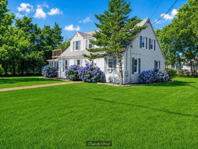 41 Belvidere Rd