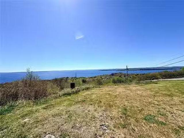 41 Drovers Road, Upper Island Cove, NL, A0A 4E0 vacant land.