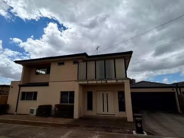 41 Glenfine Avenue, Hamlyn Heights, VIC 3215 House for Rent