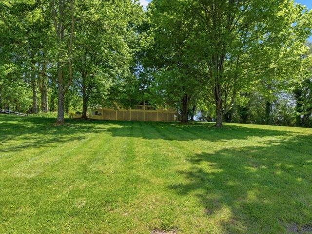 41 Little Brook Terrace