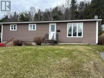 41 Lomond Street, Corner Brook, NL, A2H 3B1 house for sale.