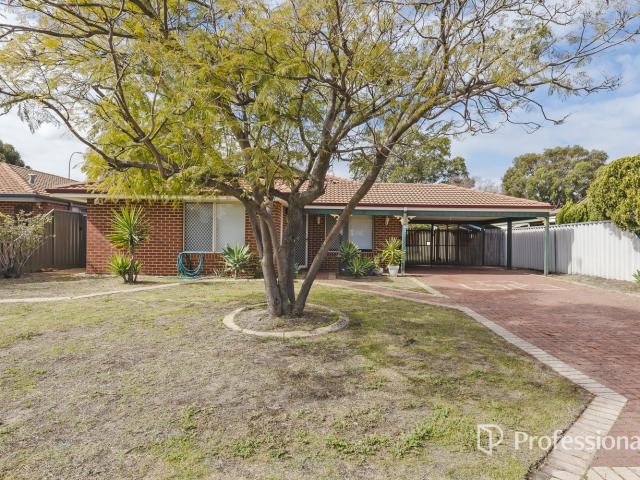 41 Ludlow MewsBallajura WA 6066, Australia