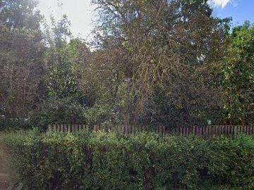 41 m2 apartment for rent in Krems an der Donau