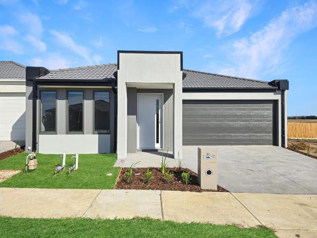 41 Mollyan Avenue