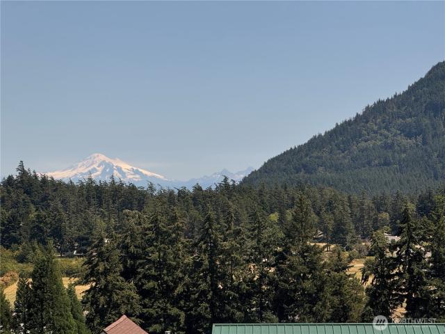 41 Mountain View
