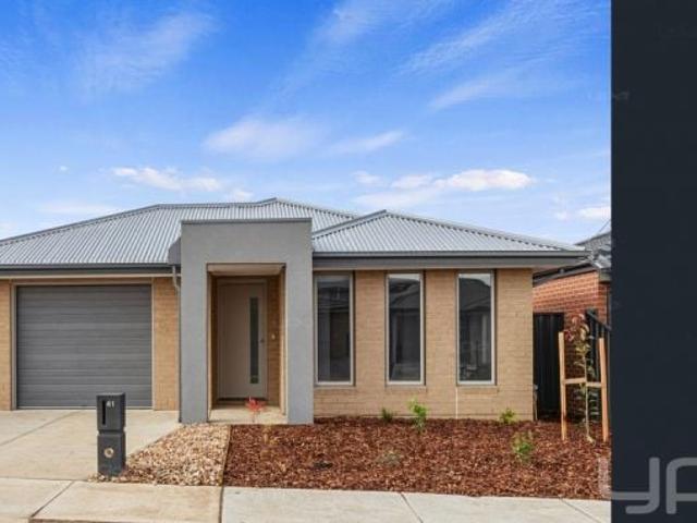 41 Oleander Circuit, Beveridge