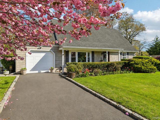 41 Orchid Road