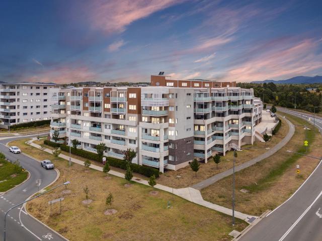 41 Philip Hodgins Street, Wright ACT 2611 Apartment For Rent | Domain