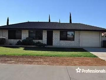 41B Crowtherton Street, Bluff Point, WA 6530