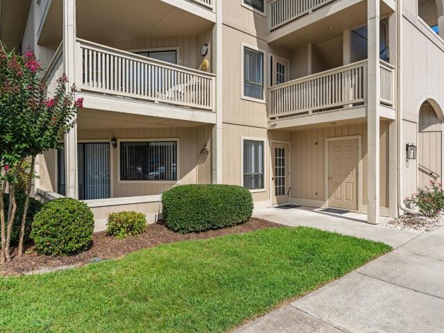 4206 Pinehurst Circle E 1