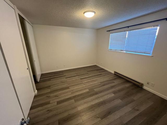 4202 Hamilton Avenue 1 Bedroom Apartment for Rent at 4202 Hamilton Ave, San Jose, CA 95130 Castro