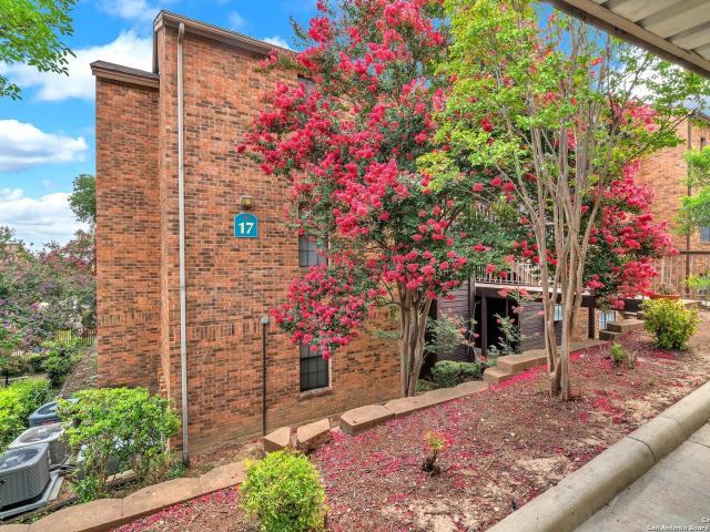 4212 Medical, Unit 1705, San Antonio, TX 78229 | MLS #1880