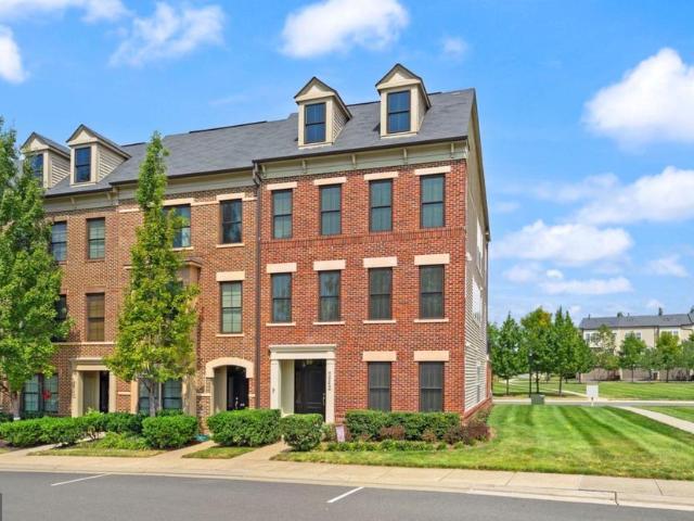 42248 Palladian Blue Terrace