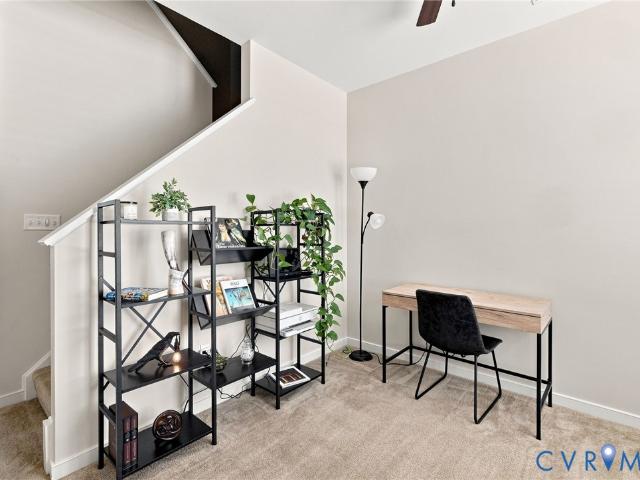 4228 Blue Bicycle Street