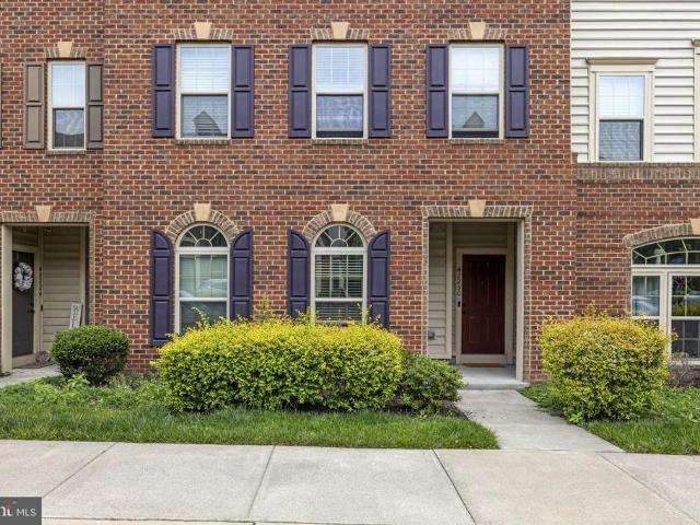 42230 Piebald Square