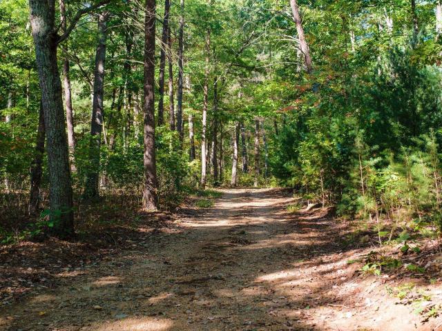 4235 slam gate rd
