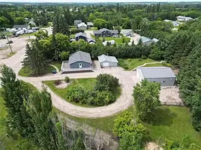 423 Russell Street S, Binscarth, MB, R0J 0G0 house for sale.