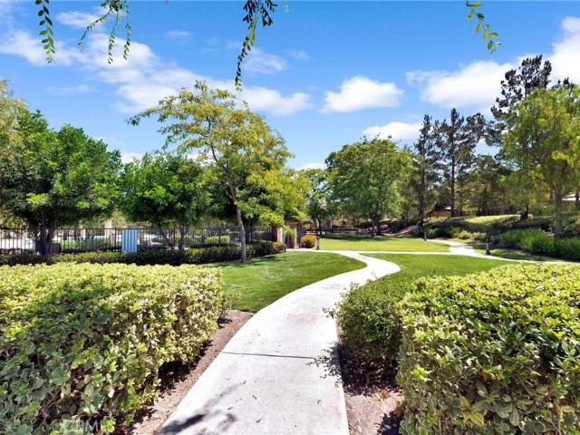 4244 Windspring