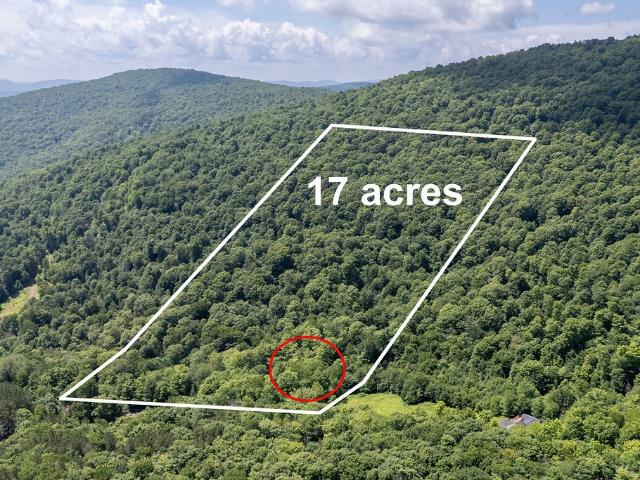 4265 Weaver Hollow Road