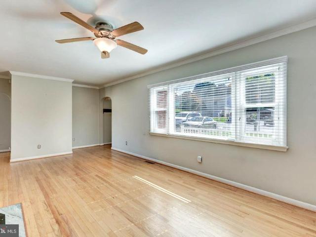 428 Maple Avenue