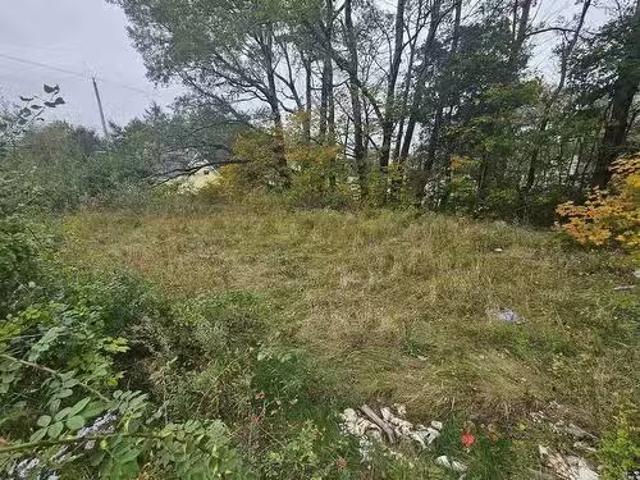 42 & 46 Church Street, Springhill, NS, B0M 1X0 vacant land f.