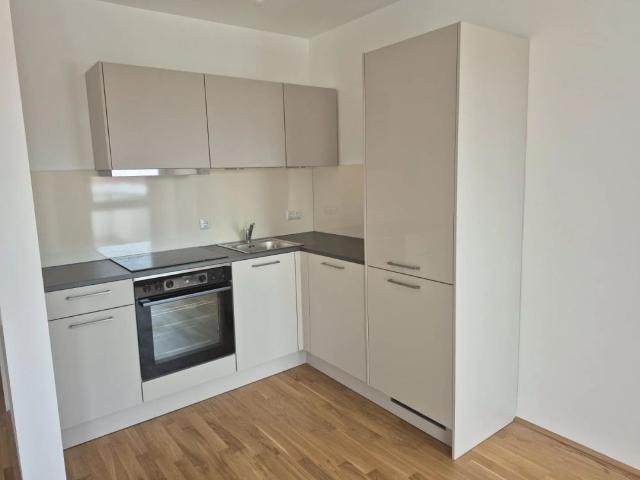 42,28qm 1Zi W Terrassenwohnung,Erstbezug, ökologische Bauweise