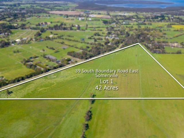 42 Acres of Possibility Your Blank Canvas Awaits