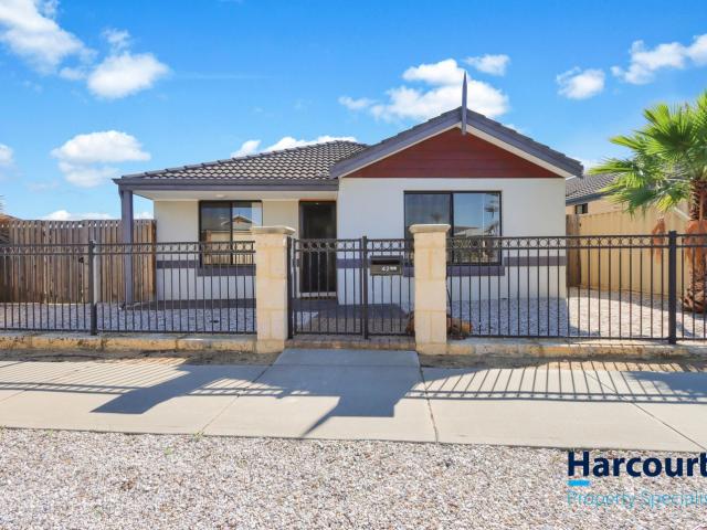 42 Costelloe Gardens, BUTLER, WA 6036