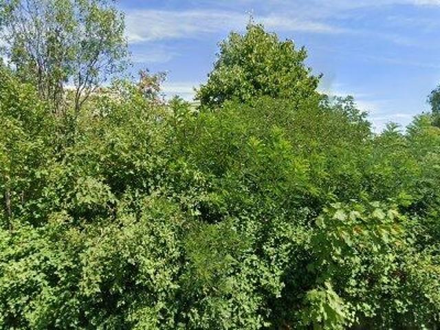 42 m2 apartment for rent in Zwickau