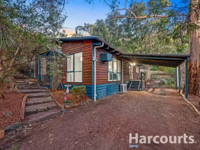 42 Old Forest Rd, THE BASIN, VIC 3154 House for Rent