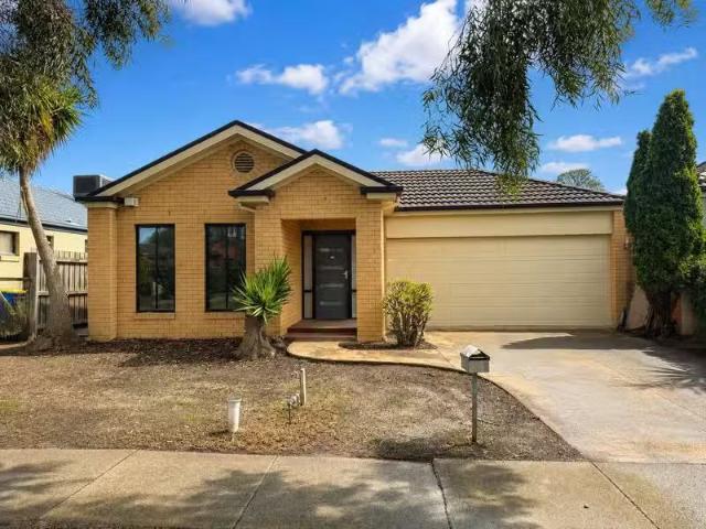 42 Stefan Drive, Berwick, VIC 3806 House for Rent