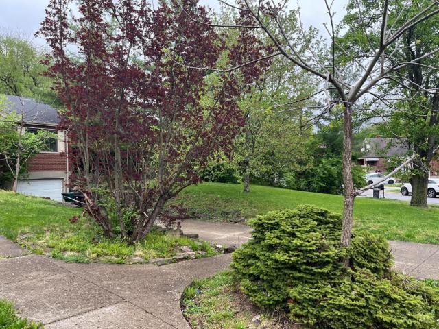 4300 Cappel Drive