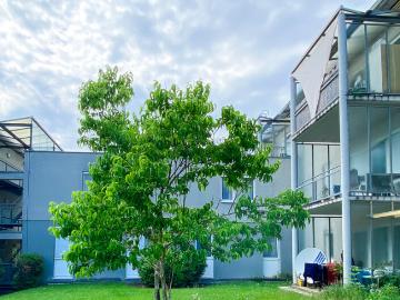 4311 Schwertberg, Haydnstraße 14/16