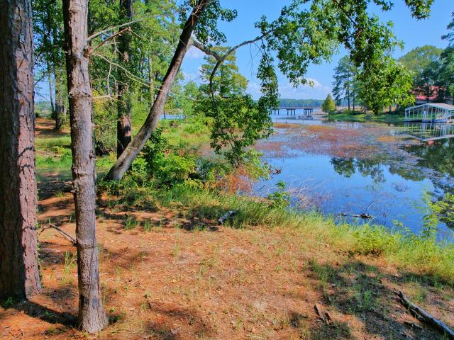 431 Madie Duhon Drive