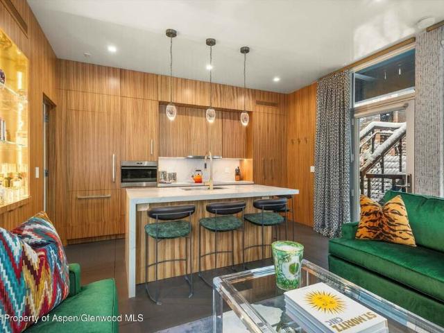 434 E Main Street 203, Aspen, CO