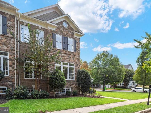 43585 Catchfly Terrace