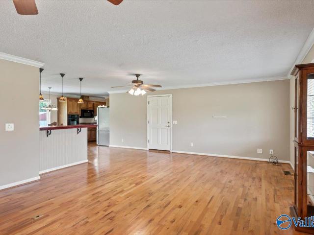 435 County Road 61