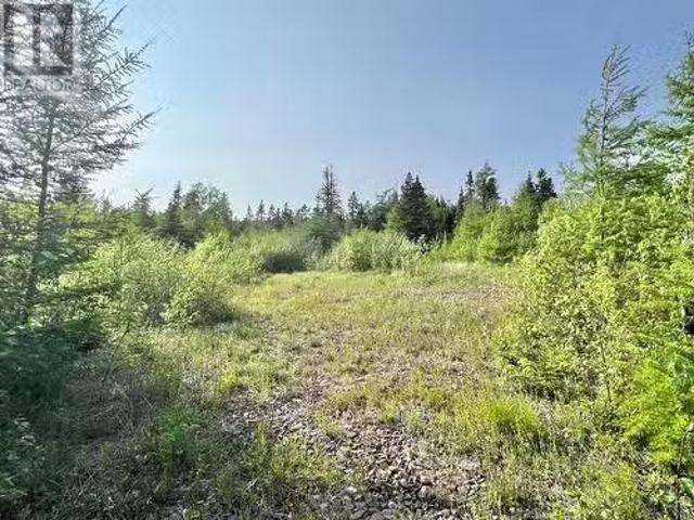 437 Main Street, Northern Arm, NL, A0H 1E0 vacant land for s.