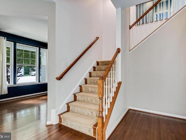 43888 Primevere Street