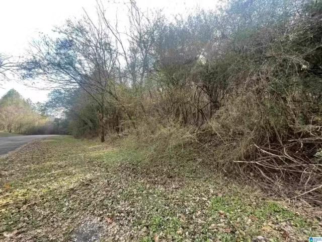 4380 CHERRY AVE # 4380, GRAYSVILLE, AL 35073