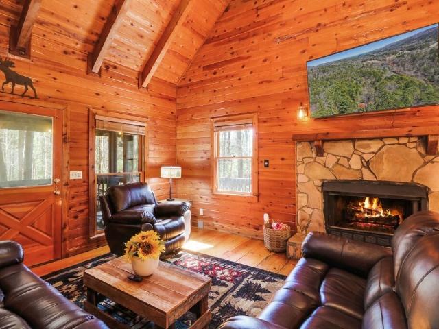 439 Conley Branch Rd, Blue Ridge, GA 30513 | MLS #428591