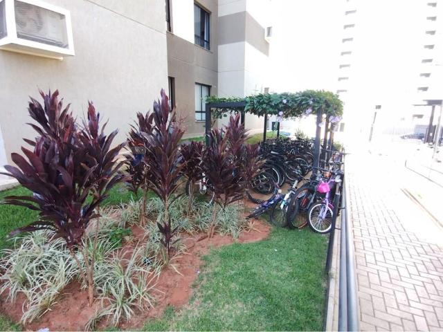 47.86 M² Apartamento Alugar, 2 Dormitórios localizado em Rua Walfrido Rei, 451 ESCOLA MUNICIPAL NORBERTO BUZZINI Jardim Yolanda, São José do Rio Preto, São Paulo, 15061530 | Brasil