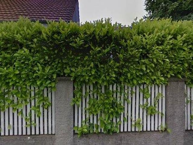 47 m2 apartment for rent in Rheinfelden