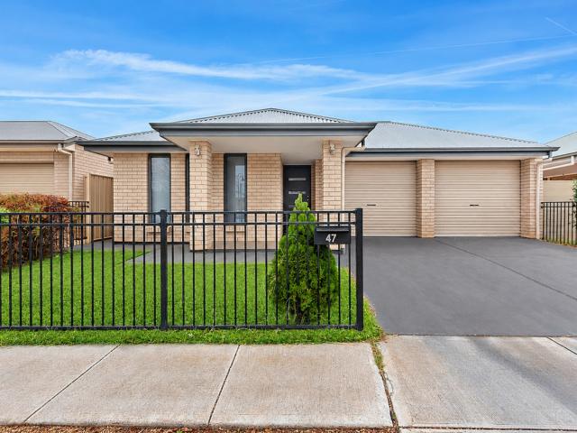 47 scarlet avenue, munno para sa for rent lj hooker