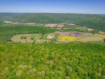 4400 COUNTY ROAD 39, FACKLER, AL 35746